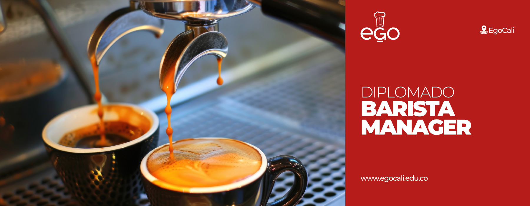 Diplomado en Barista Manager